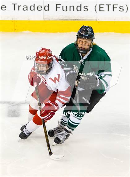 Thumbnail 2 in Marshfield vs. Waltham (MIAA Division1 Final) photogallery.