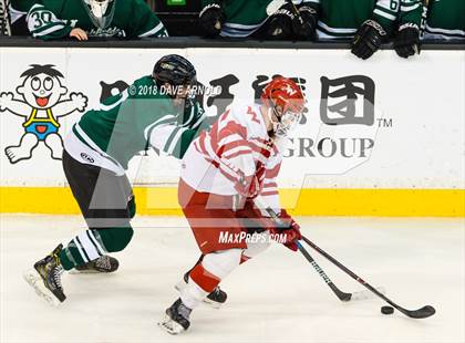 Thumbnail 2 in Marshfield vs. Waltham (MIAA Division1 Final) photogallery.