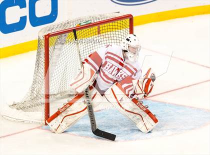 Thumbnail 3 in Marshfield vs. Waltham (MIAA Division1 Final) photogallery.