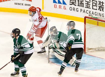 Thumbnail 1 in Marshfield vs. Waltham (MIAA Division1 Final) photogallery.