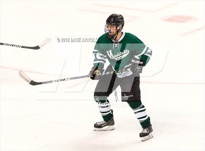 Thumbnail 1 in Marshfield vs. Waltham (MIAA Division1 Final) photogallery.