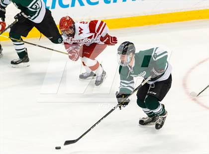 Thumbnail 3 in Marshfield vs. Waltham (MIAA Division1 Final) photogallery.