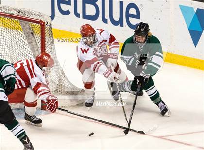 Thumbnail 1 in Marshfield vs. Waltham (MIAA Division1 Final) photogallery.