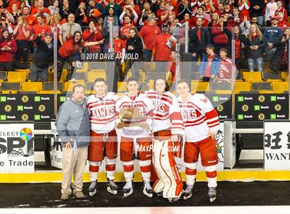 Thumbnail 3 in Marshfield vs. Waltham (MIAA Division1 Final) photogallery.