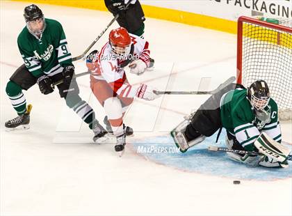 Thumbnail 3 in Marshfield vs. Waltham (MIAA Division1 Final) photogallery.