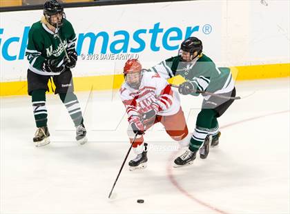 Thumbnail 1 in Marshfield vs. Waltham (MIAA Division1 Final) photogallery.
