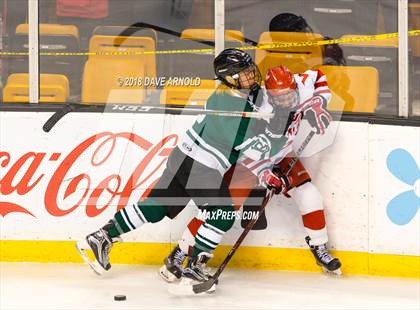 Thumbnail 3 in Marshfield vs. Waltham (MIAA Division1 Final) photogallery.