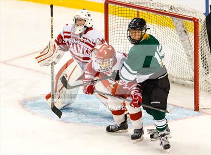 Thumbnail 1 in Marshfield vs. Waltham (MIAA Division1 Final) photogallery.