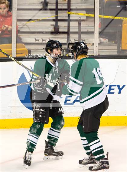 Thumbnail 1 in Marshfield vs. Waltham (MIAA Division1 Final) photogallery.