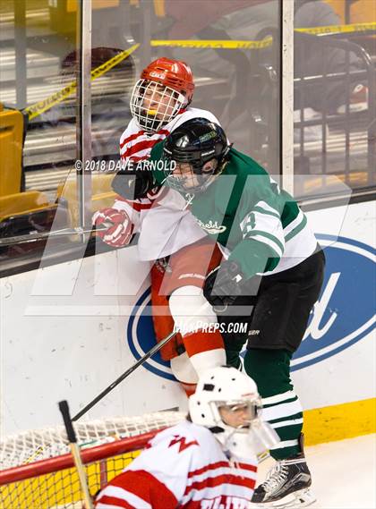Thumbnail 3 in Marshfield vs. Waltham (MIAA Division1 Final) photogallery.