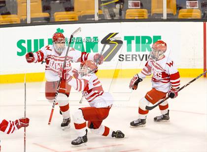 Thumbnail 1 in Marshfield vs. Waltham (MIAA Division1 Final) photogallery.