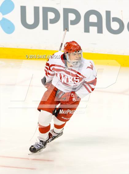 Thumbnail 1 in Marshfield vs. Waltham (MIAA Division1 Final) photogallery.