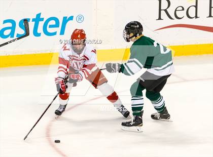 Thumbnail 1 in Marshfield vs. Waltham (MIAA Division1 Final) photogallery.
