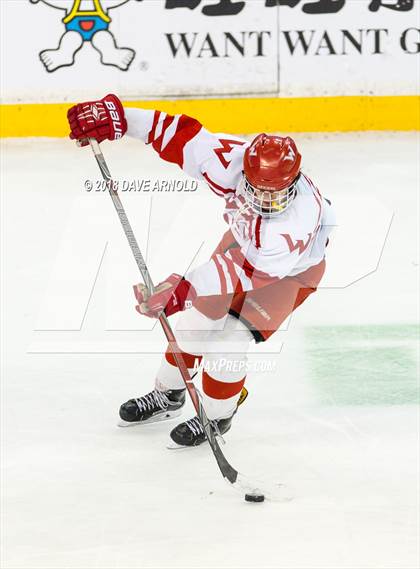 Thumbnail 2 in Marshfield vs. Waltham (MIAA Division1 Final) photogallery.