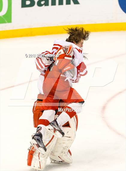 Thumbnail 3 in Marshfield vs. Waltham (MIAA Division1 Final) photogallery.