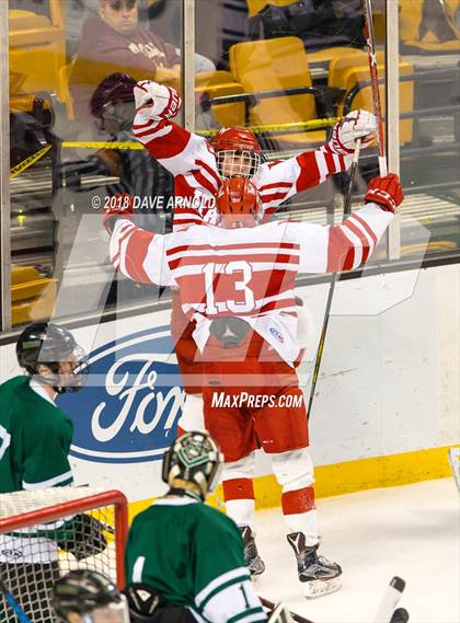 Thumbnail 1 in Marshfield vs. Waltham (MIAA Division1 Final) photogallery.