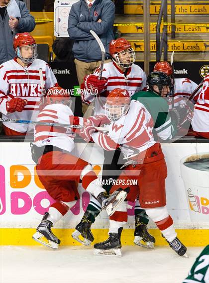 Thumbnail 3 in Marshfield vs. Waltham (MIAA Division1 Final) photogallery.