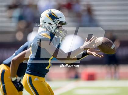 Thumbnail 3 in Aurora Central @ Northfield photogallery.