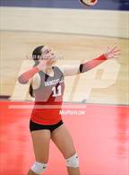 Photo from the gallery "Gainesville @ Patriot"