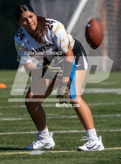 Thumbnail 1 in Canyon @ Foothill photogallery.