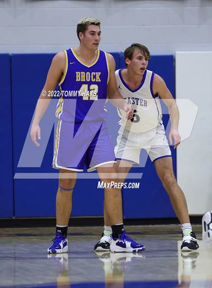 Thumbnail 1 in Brock @ Peaster photogallery.