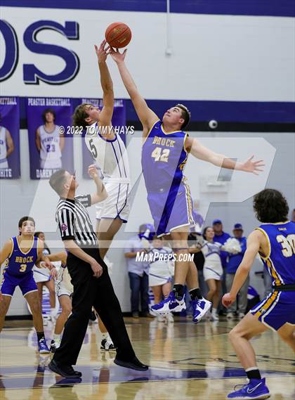 Thumbnail 2 in Brock @ Peaster photogallery.