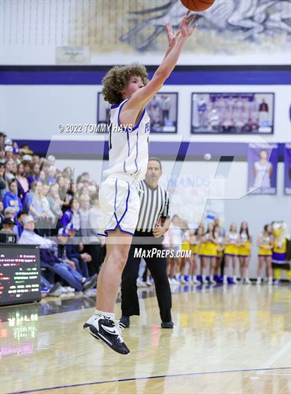 Thumbnail 1 in Brock @ Peaster photogallery.