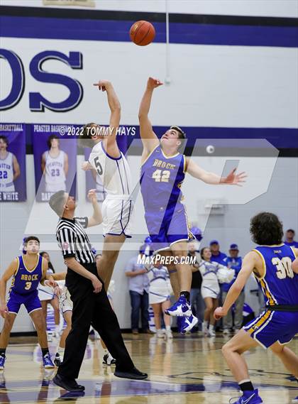 Thumbnail 3 in Brock @ Peaster photogallery.
