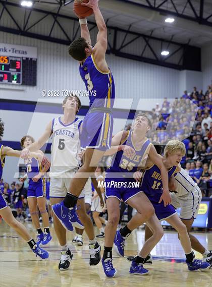 Thumbnail 1 in Brock @ Peaster photogallery.
