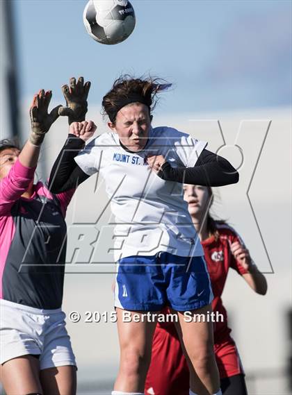 Thumbnail 1 in Mount St. Mary Academy vs. Niagara Catholic (MMHSAA Final) photogallery.
