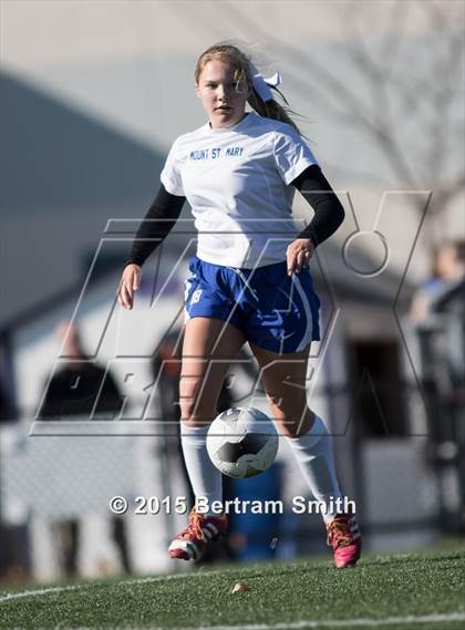 Thumbnail 2 in Mount St. Mary Academy vs. Niagara Catholic (MMHSAA Final) photogallery.