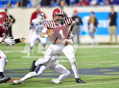 Thumbnail 3 in Greenwood vs. Pine Bluff (AAA 6A State Final) photogallery.