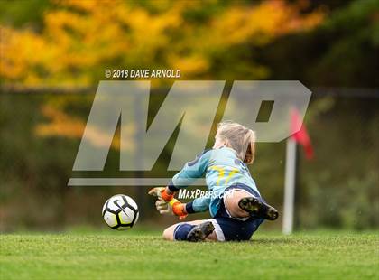 Thumbnail 3 in Needham @ Wellesley photogallery.