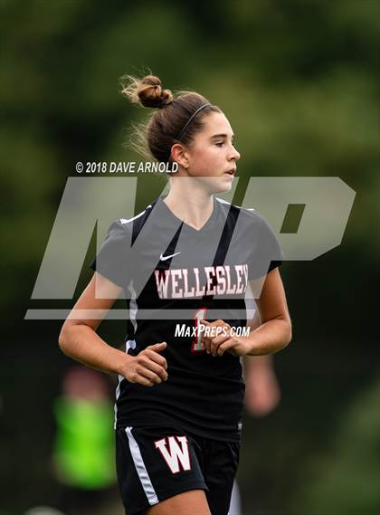 Thumbnail 2 in Needham @ Wellesley photogallery.