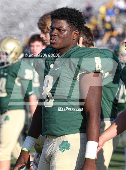 Thumbnail 1 in Notre Dame vs. Lausanne (TSSAA Division II Class AA Final) photogallery.