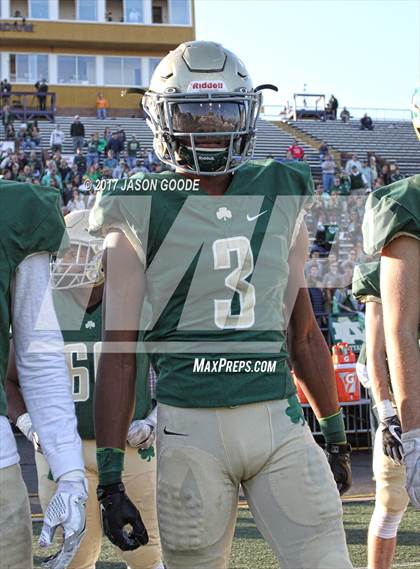 Thumbnail 2 in Notre Dame vs. Lausanne (TSSAA Division II Class AA Final) photogallery.