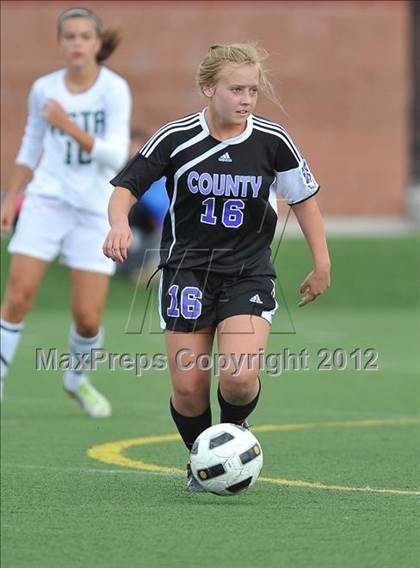 Thumbnail 3 in Douglas County @ Mountain Vista photogallery.