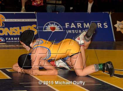 Thumbnail 1 in CIF State Girls Wrestling Championships (Finals & Awards) photogallery.