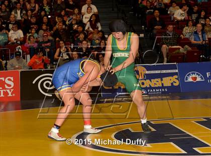 Thumbnail 1 in CIF State Girls Wrestling Championships (Finals & Awards) photogallery.