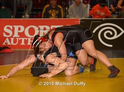 Thumbnail 3 in CIF State Girls Wrestling Championships (Finals & Awards) photogallery.