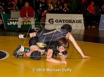 Thumbnail 2 in CIF State Girls Wrestling Championships (Finals & Awards) photogallery.