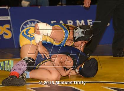 Thumbnail 2 in CIF State Girls Wrestling Championships (Finals & Awards) photogallery.