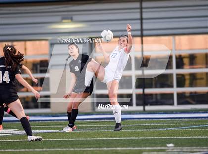 Thumbnail 2 in Davis Sr. @ Archbishop Mitty (CIF NorCal D1 R1) photogallery.