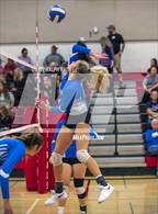 Photo from the gallery "Orland @ Corning"