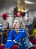 Photo from the gallery "Orland @ Corning"