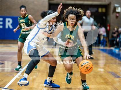 Thumbnail 1 in Pine Forest @ Westover photogallery.