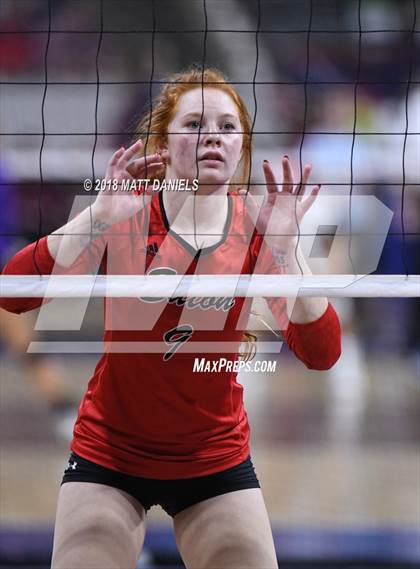 Thumbnail 1 in Eaton vs. Lutheran (CHSAA 3A Semifinal) photogallery.