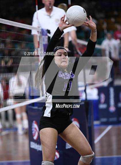 Thumbnail 1 in Eaton vs. Lutheran (CHSAA 3A Semifinal) photogallery.