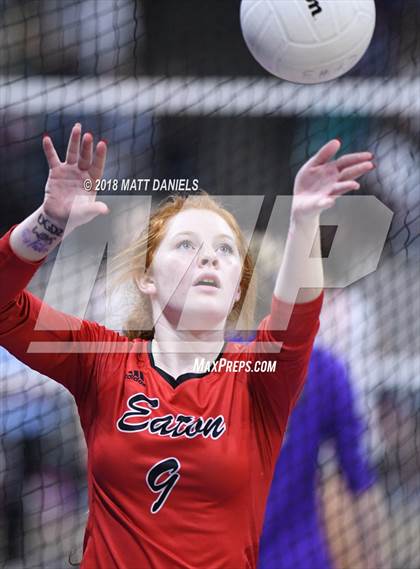 Thumbnail 1 in Eaton vs. Lutheran (CHSAA 3A Semifinal) photogallery.