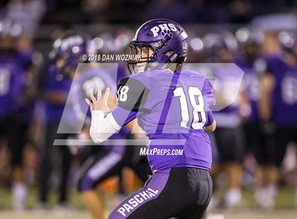 Thumbnail 2 in Bowie @ Paschal photogallery.